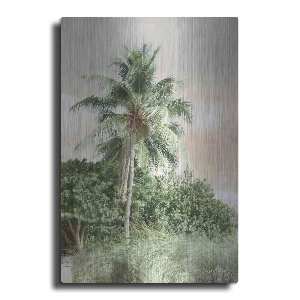 'Sanibel Island Palm' by Lori Deiter – Metal Wall Art
