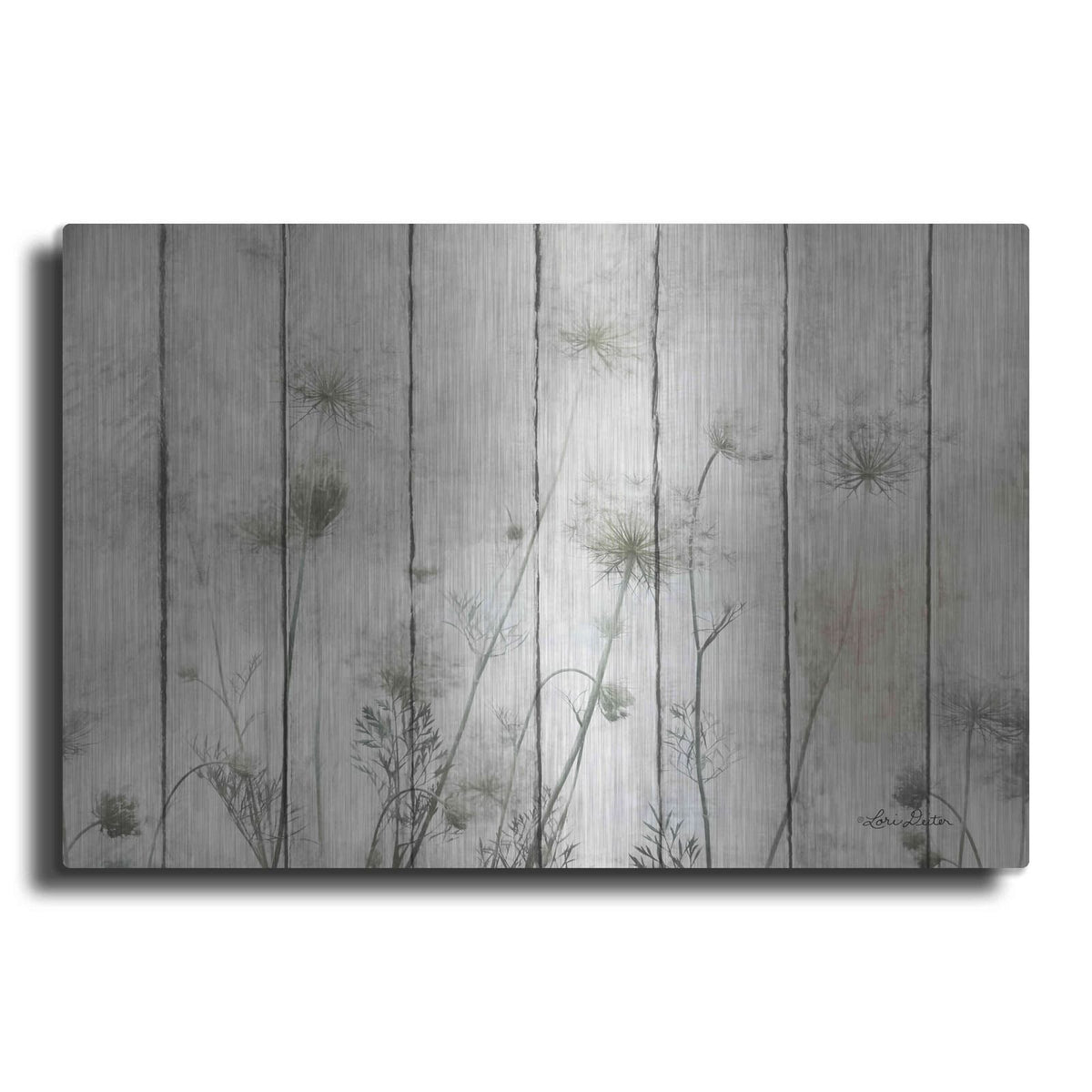 'Queen Anne' by Lori Deiter – Metal Wall Art