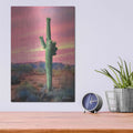 'Vibrant Cactus Sunset' by Lori Deiter – Metal Wall Art, 12x16 room view
