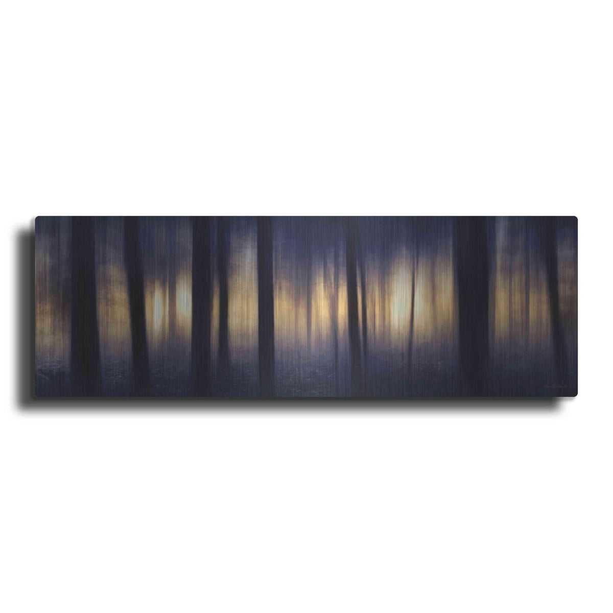 'Edge of the Forest' by Lori Deiter – Metal Wall Art