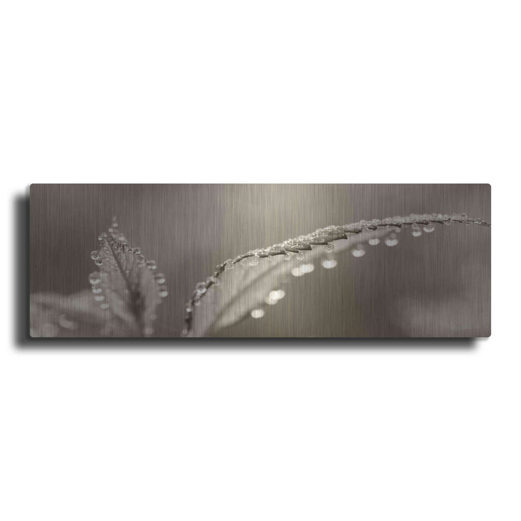'Dewey Morning' by Lori Deiter – Metal Wall Art