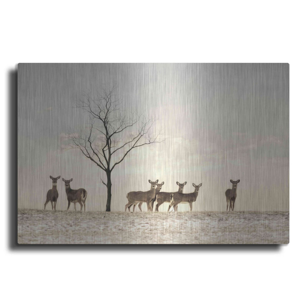 'Doe a Deer' by Lori Deiter – Metal Wall Art