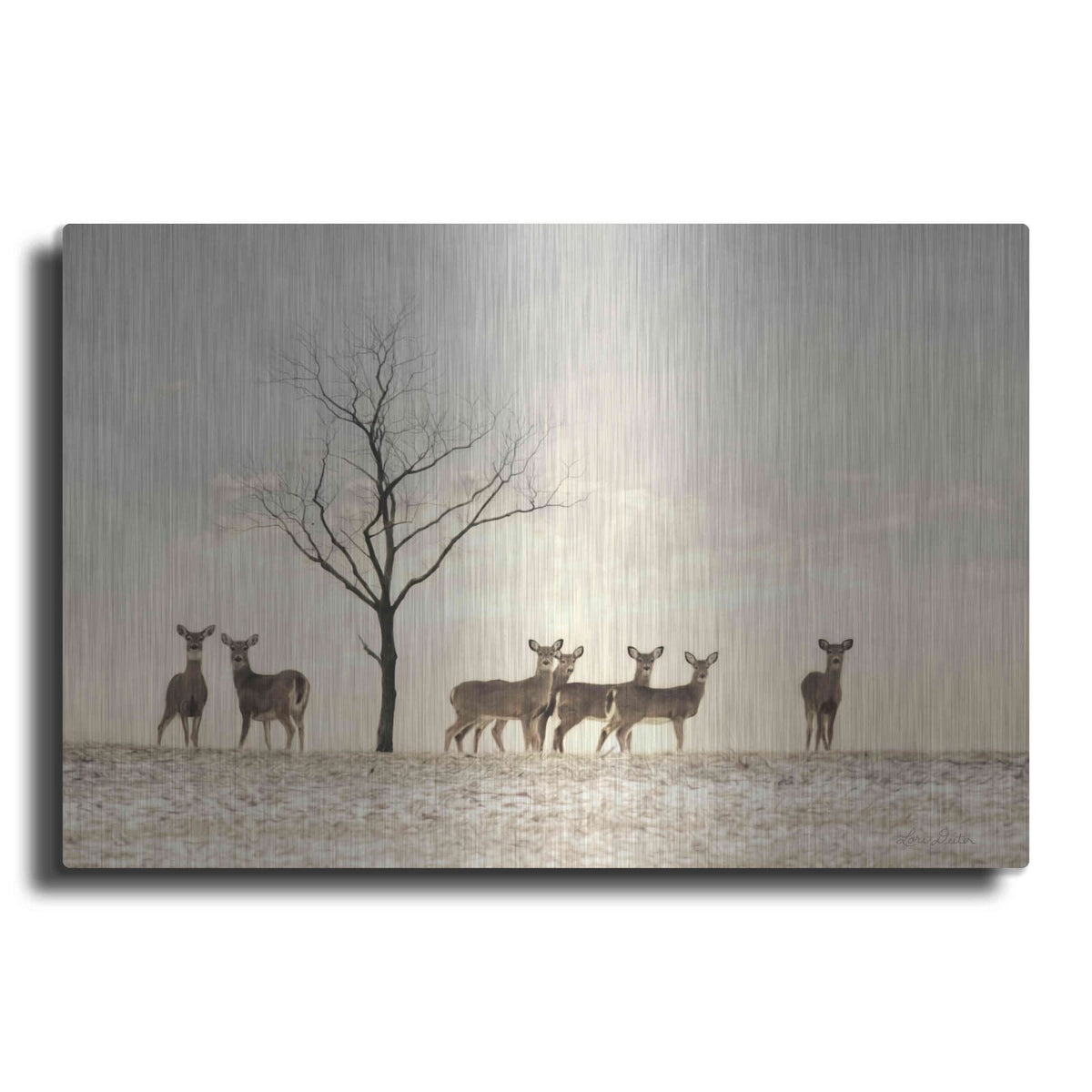 'Doe a Deer' by Lori Deiter – Metal Wall Art