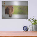 'Horse at Fence' by Lori Deiter – Metal Wall Art, 16x12 room view