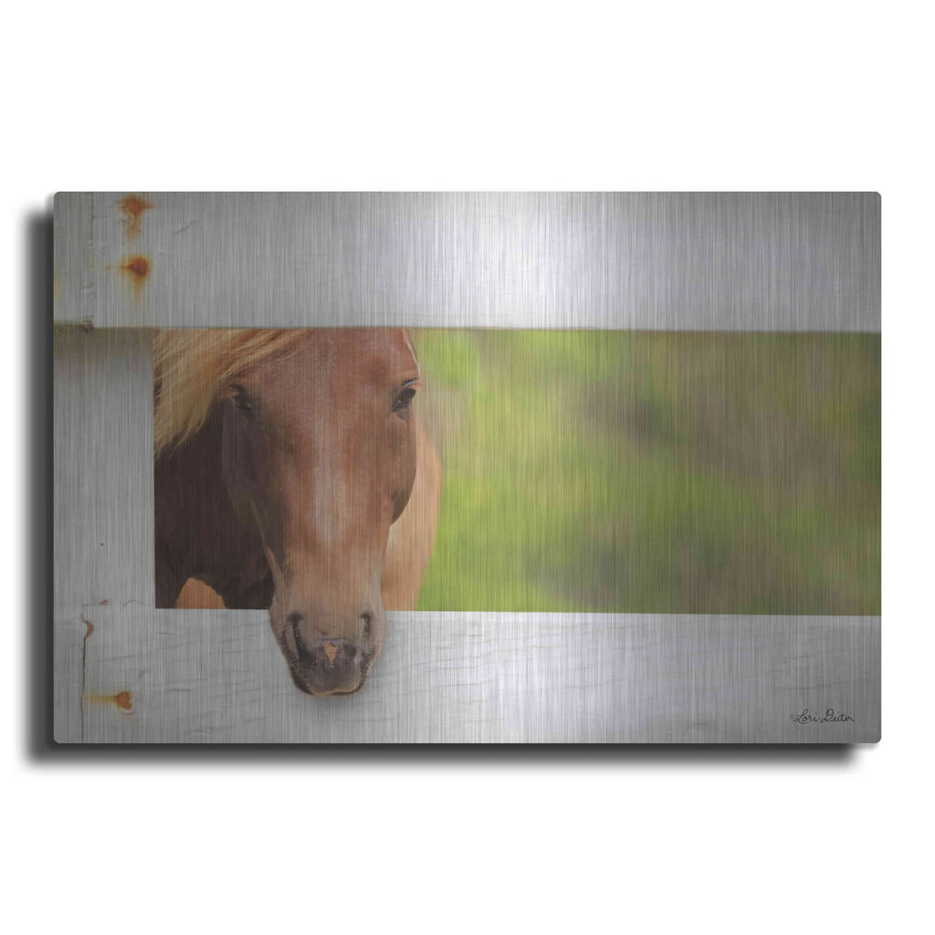 'Horse at Fence' by Lori Deiter – Metal Wall Art