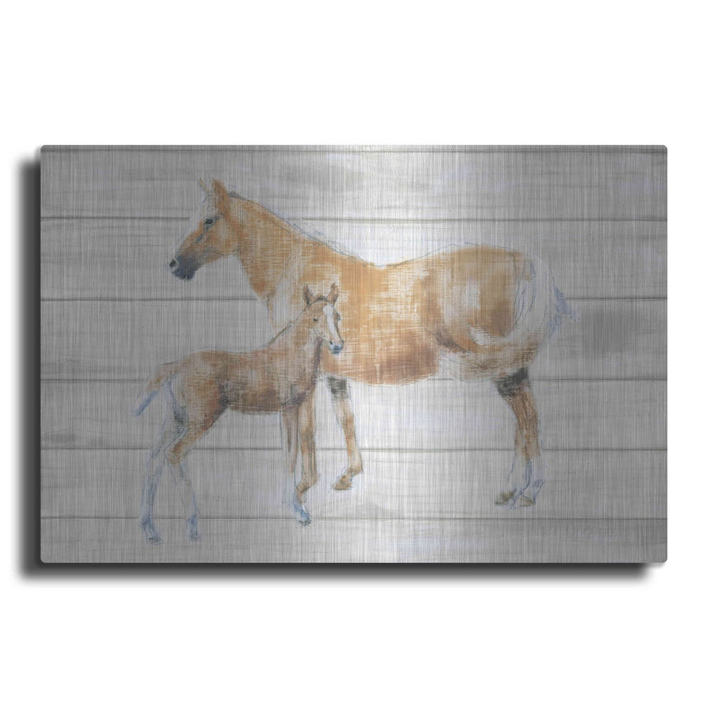 'Horse and Colt on Wood' by Emily Adams – Metal Wall Art