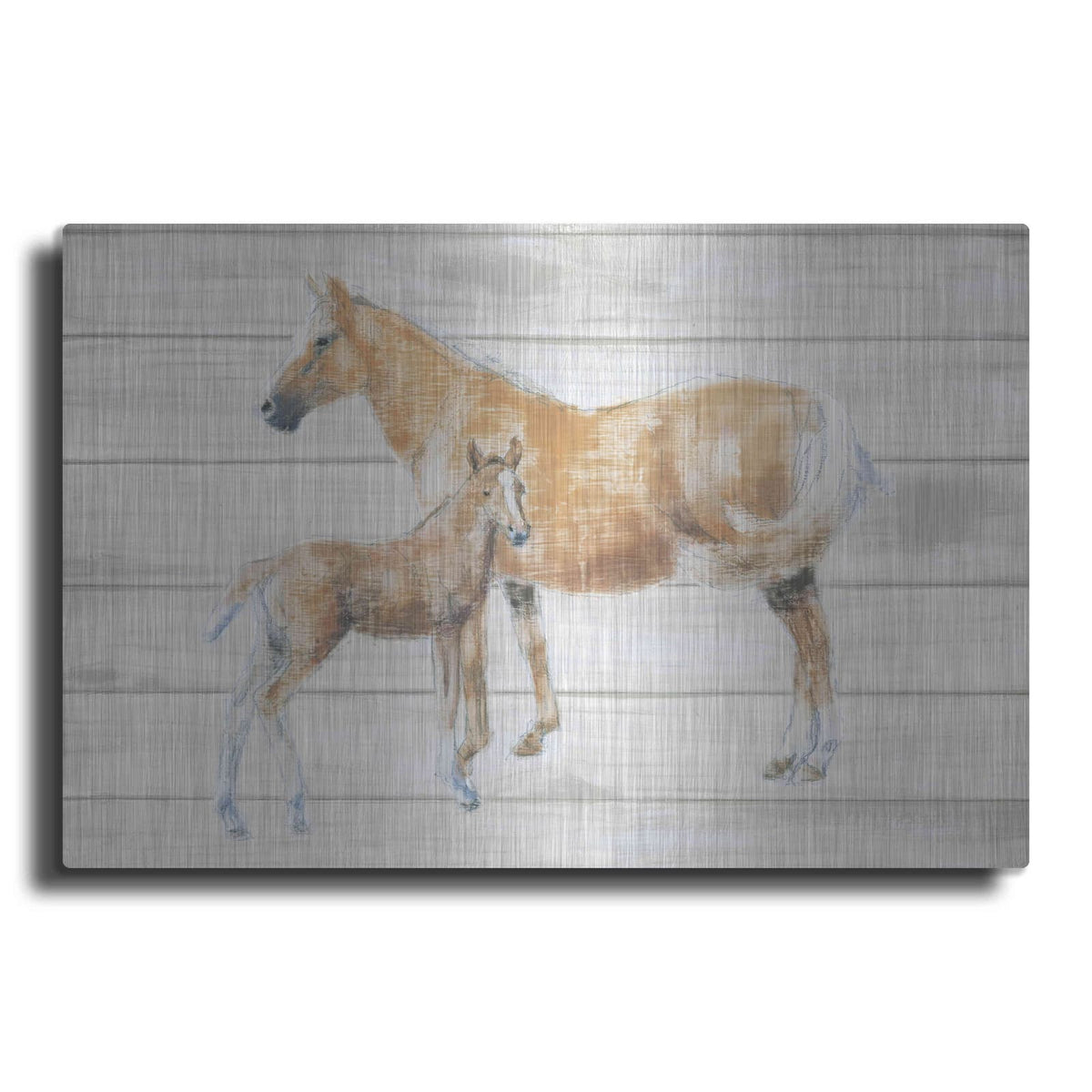 'Horse and Colt on Wood' by Emily Adams – Metal Wall Art