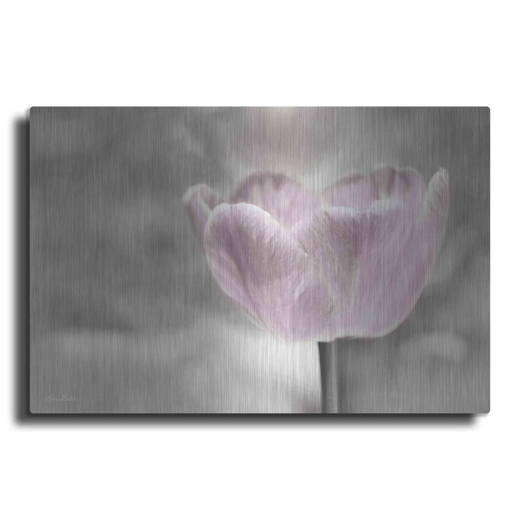 'Violet Tulip' by Lori Deiter – Metal Wall Art