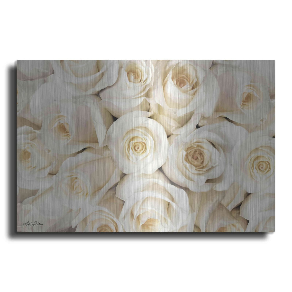 'Top View - White Roses' by Lori Deiter – Metal Wall Art