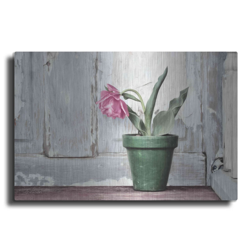 'Take a Bow Tulip' by Lori Deiter – Metal Wall Art