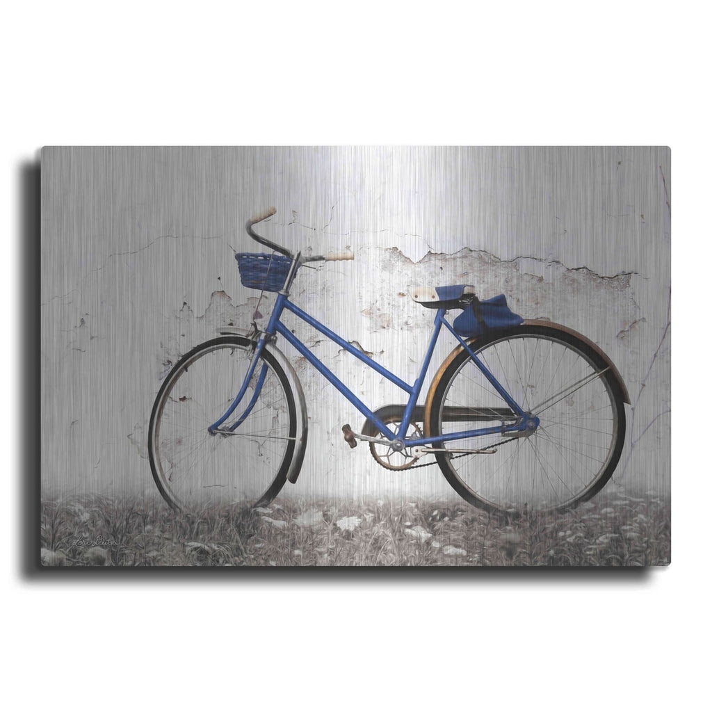 'Keep Your Balance' by Lori Deiter – Metal Wall Art