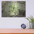 'Glowing Succulent II' by Lori Deiter – Metal Wall Art, 16x12 room view