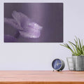 'Purple Dew' by Lori Deiter – Metal Wall Art, 16x12 room view