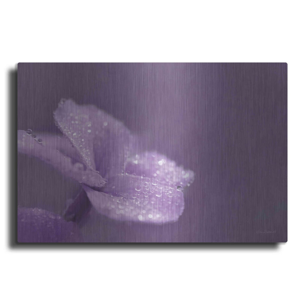 'Purple Dew' by Lori Deiter – Metal Wall Art