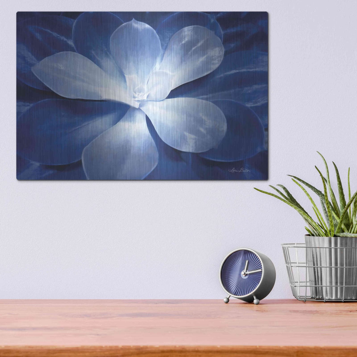 'Blue Succulent II' by Lori Deiter – Metal Wall Art, 16x12 room view