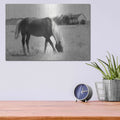 'Summer Grazing' by Lori Deiter – Metal Wall Art, 16x12 room view