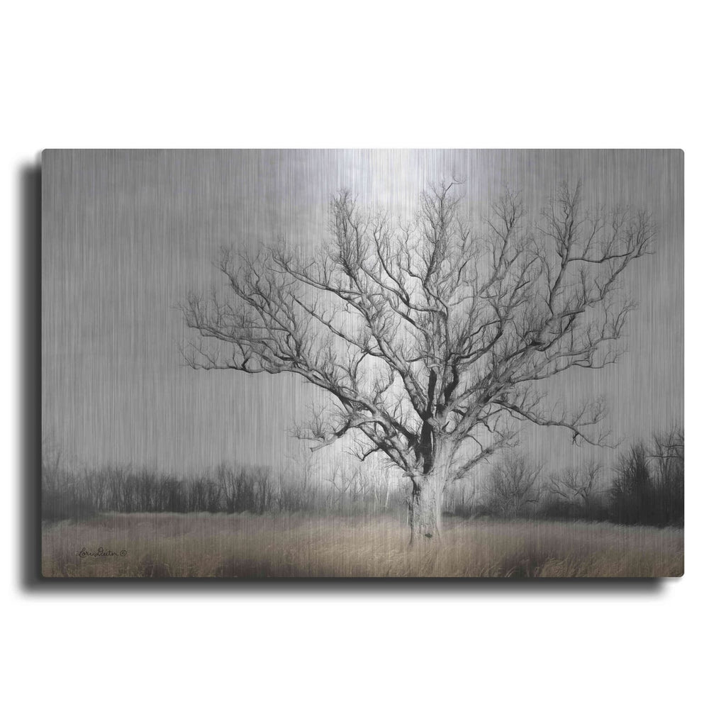 'Earth & Sky' by Lori Deiter – Metal Wall Art