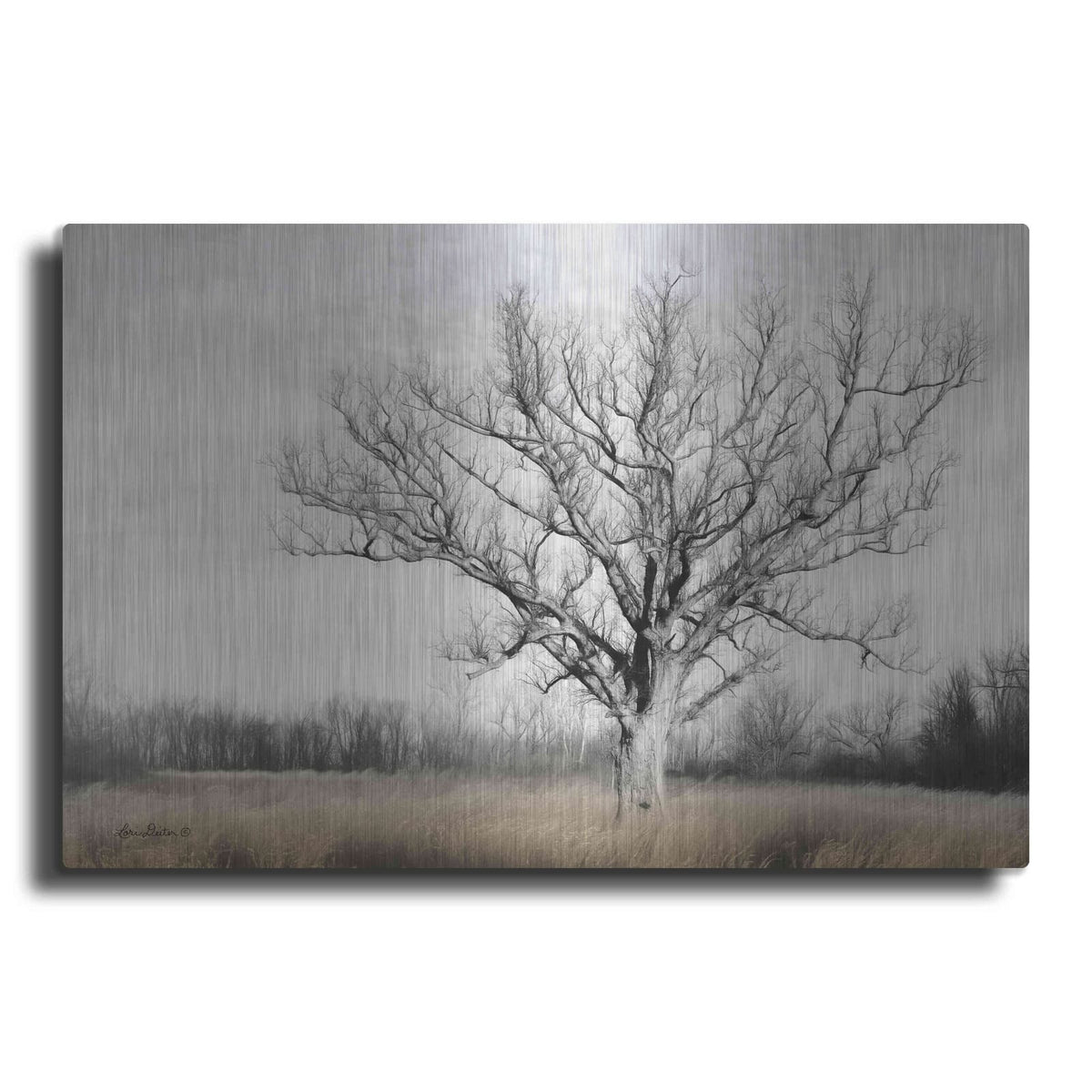 'Earth & Sky' by Lori Deiter – Metal Wall Art