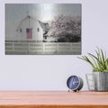 'Brownsville Patriot' by Lori Deiter – Metal Wall Art, 16x12 room view