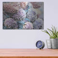 'Hydrangeas Abstract' by Lori Deiter – Metal Wall Art, 16x12 room view