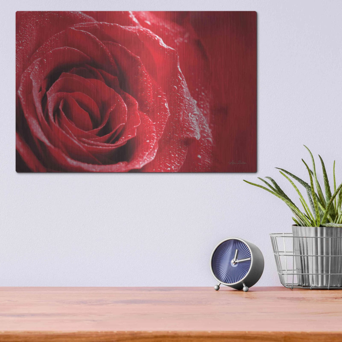 'Red Rose After Rain' by Lori Deiter – Metal Wall Art, 16x12 room view