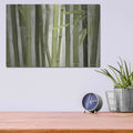 'Backlit Bamboo I' by Lori Deiter – Metal Wall Art, 16x12 room view