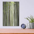 'Backlit Bamboo II' by Lori Deiter – Metal Wall Art, 12x16 room view