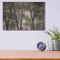 'Bamboo on Blush' by Lori Deiter – Metal Wall Art, 16x12 room view