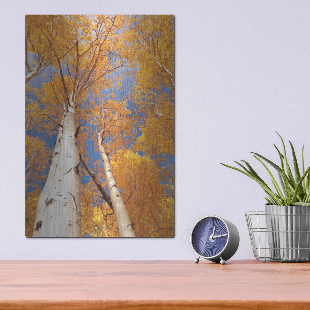 'Aspen I' by Lori Deiter – Metal Wall Art, 12x16 room view
