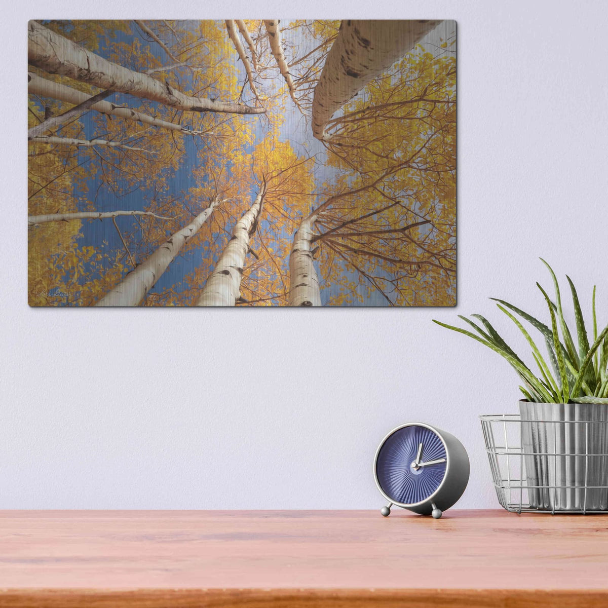 'Aspen II' by Lori Deiter – Metal Wall Art, 16x12 room view
