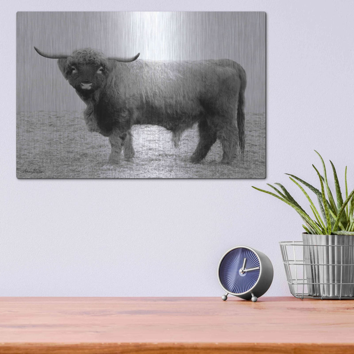 'Scotty the Bull' by Lori Deiter – Metal Wall Art, 16x12 room view