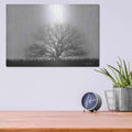 'Foggy Old Tree' by Lori Deiter – Metal Wall Art, 16x12 room view