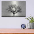 'Grow in Different Directions' by Lori Deiter – Metal Wall Art, 16x12 room view