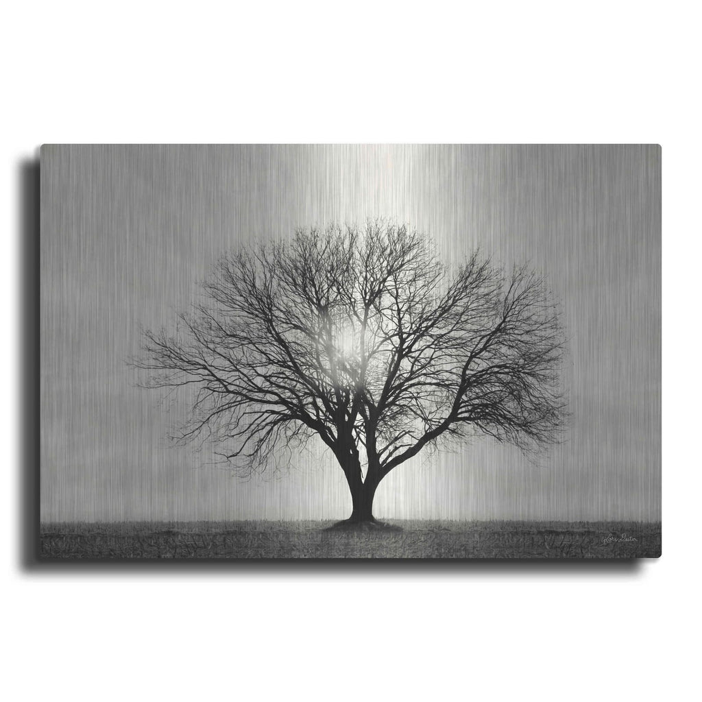 'Grow in Different Directions' by Lori Deiter – Metal Wall Art