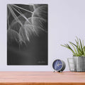 'Goatsbeard I' by Lori Deiter – Metal Wall Art, 12x16 room view