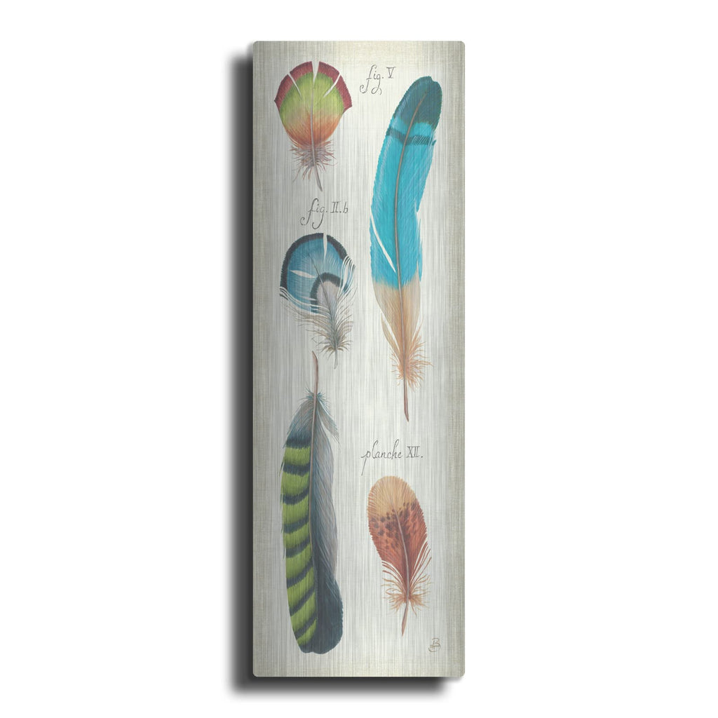 'Ornithology III Panel' by Daphne Brissonnet – Metal Wall Art