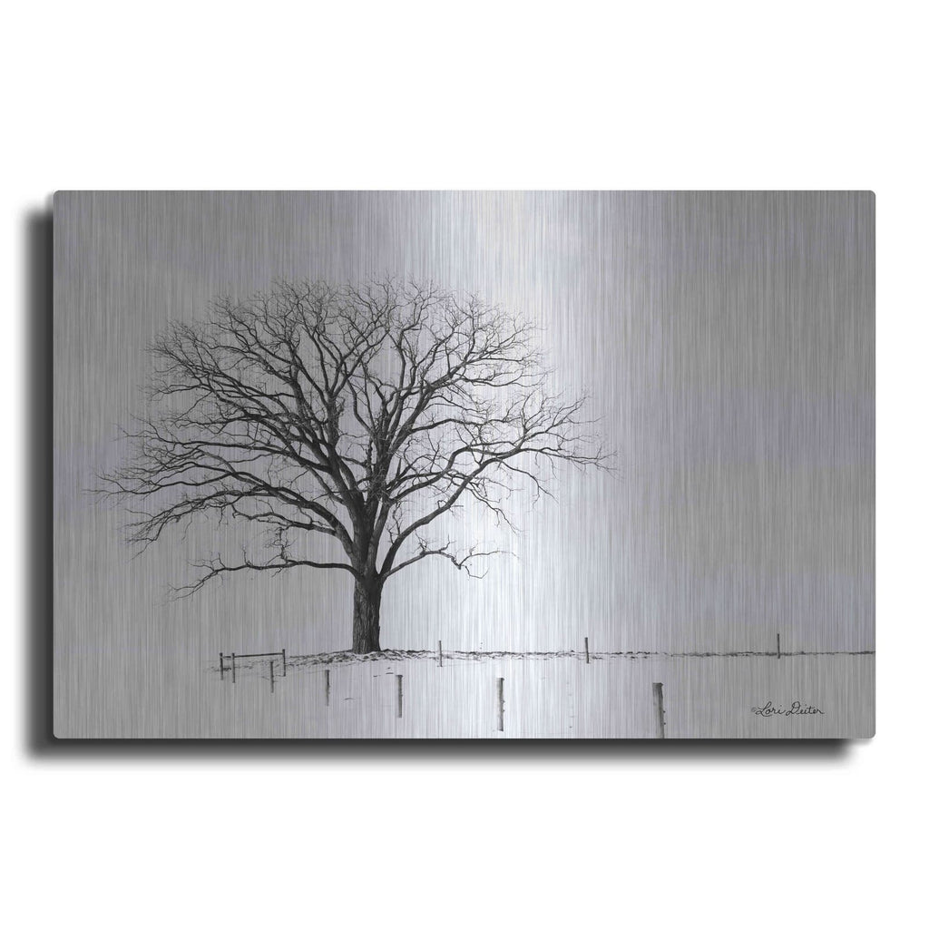 'Bare' by Lori Deiter – Metal Wall Art