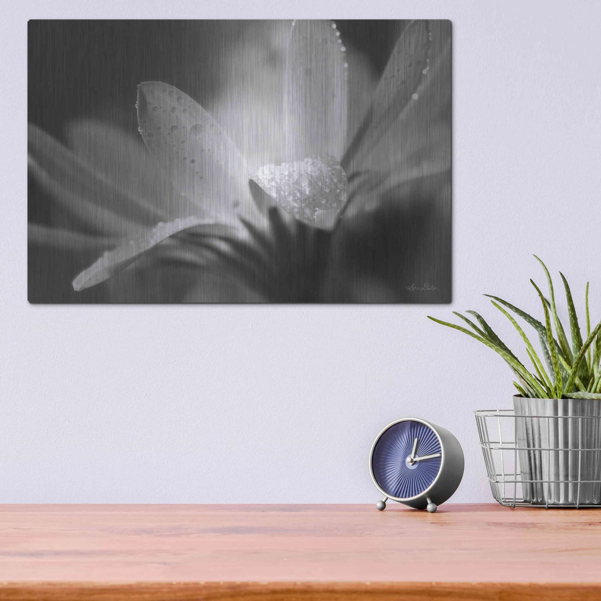 'Daisy' by Lori Deiter – Metal Wall Art, 16x12 room view