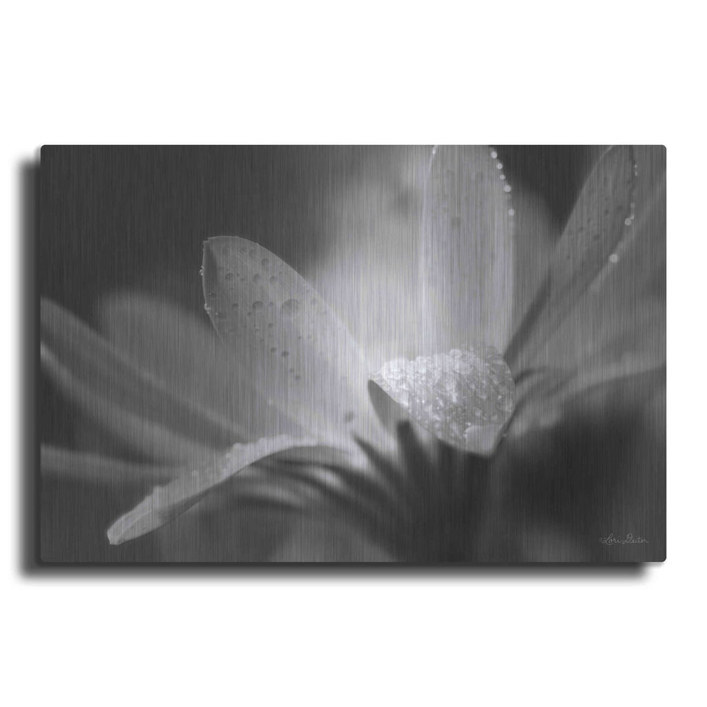 'Daisy' by Lori Deiter – Metal Wall Art