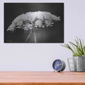 'Queen Anne's Lace' by Lori Deiter – Metal Wall Art, 16x12 room view