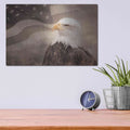 'US Symbols' by Lori Deiter – Metal Wall Art, 16x12 room view