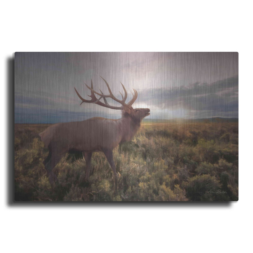 'Jackson Sunrise with Elk' by Lori Deiter – Metal Wall Art
