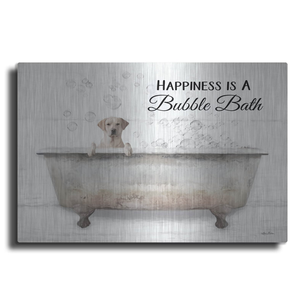'Bubble Bath' by Lori Deiter – Metal Wall Art