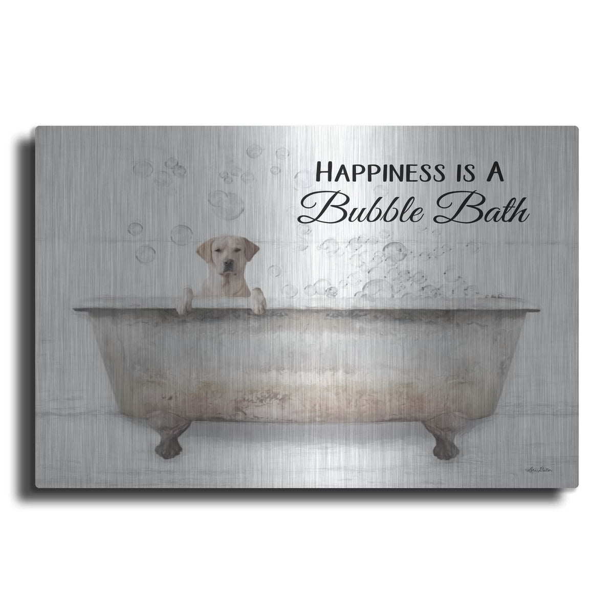 'Bubble Bath' by Lori Deiter – Metal Wall Art