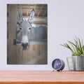'Curious Donkey' by Lori Deiter – Metal Wall Art, 12x16 room view