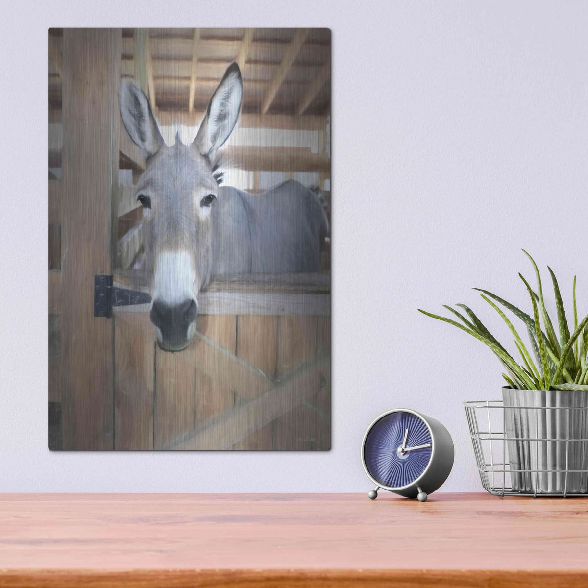 'Curious Donkey' by Lori Deiter – Metal Wall Art, 12x16 room view