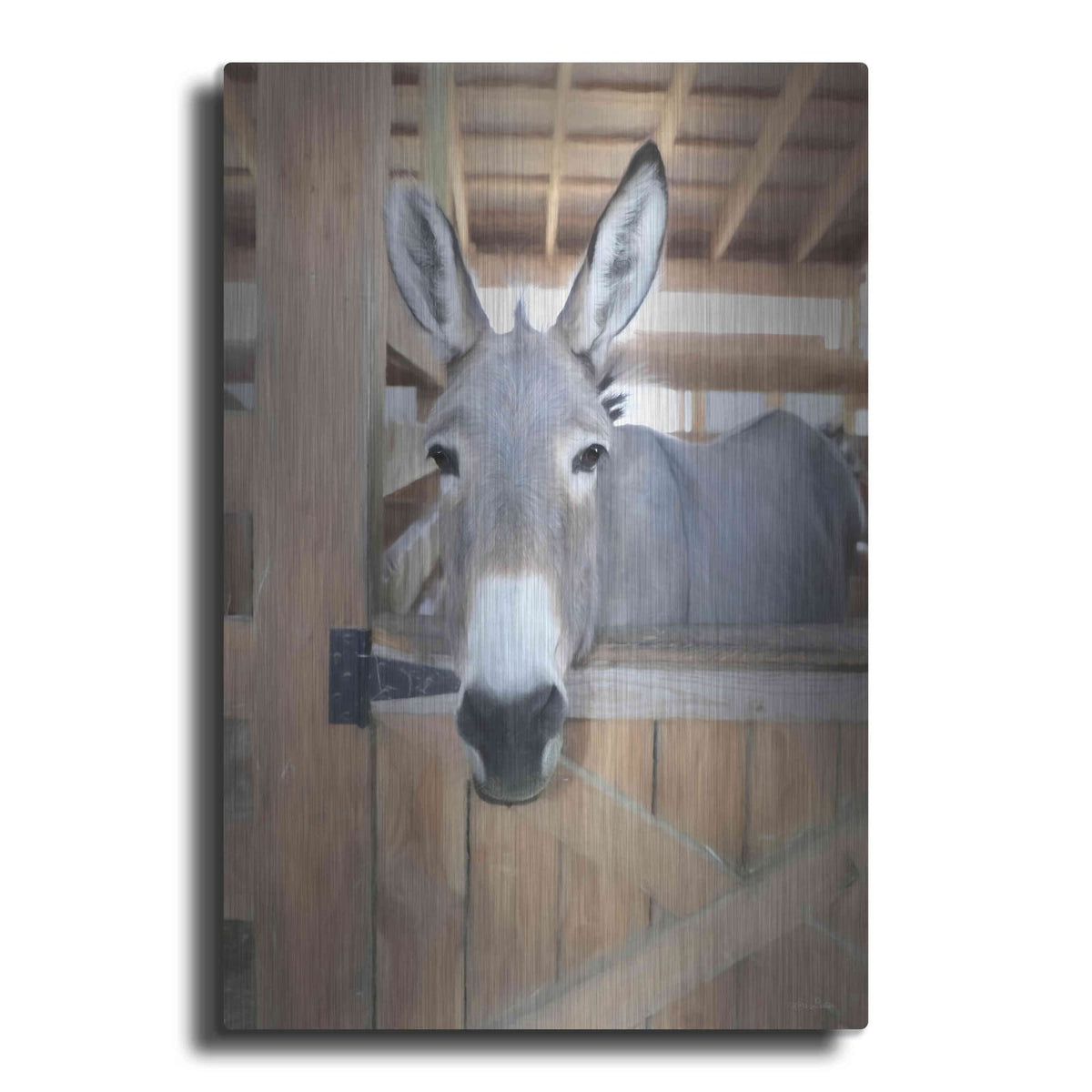 'Curious Donkey' by Lori Deiter – Metal Wall Art