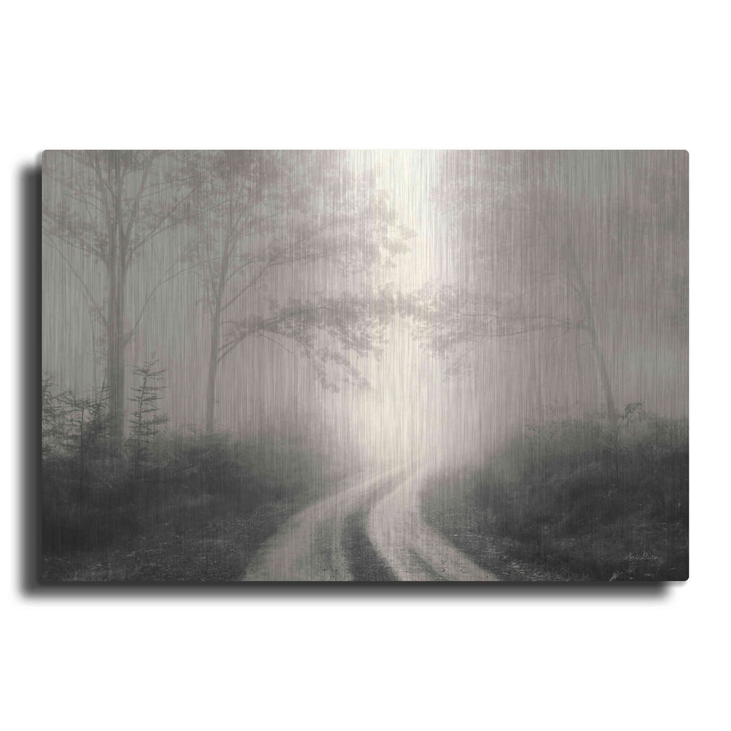 'Bleached Wood Lands' by Lori Deiter – Metal Wall Art