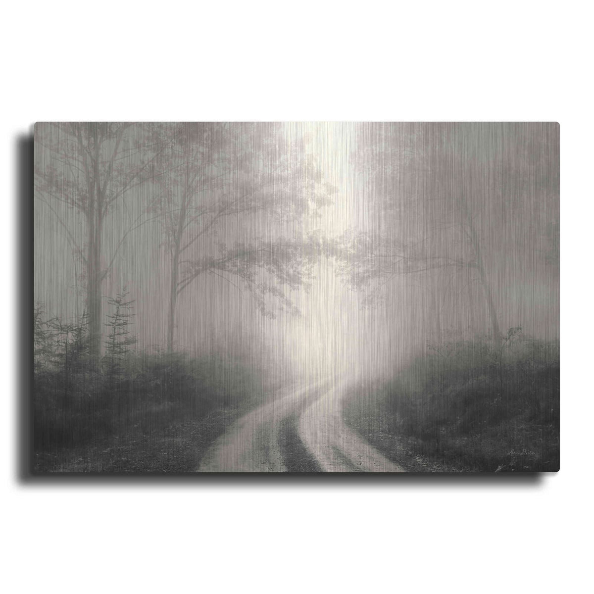 'Bleached Wood Lands' by Lori Deiter – Metal Wall Art