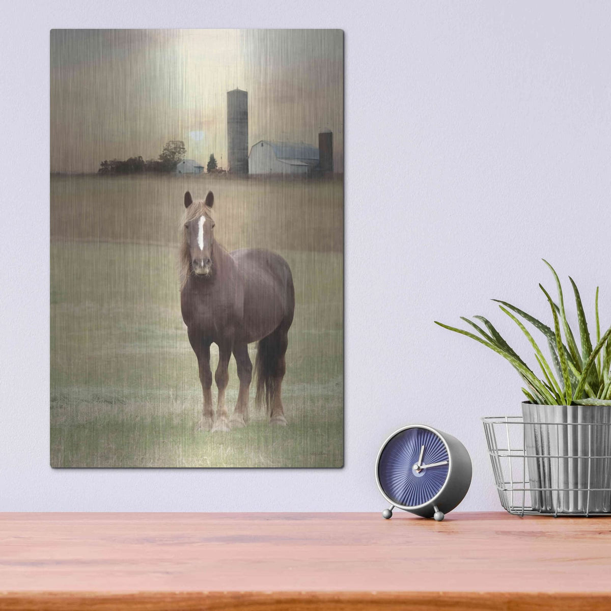 'Jackson Horse' by Lori Deiter – Metal Wall Art, 12x16 room view